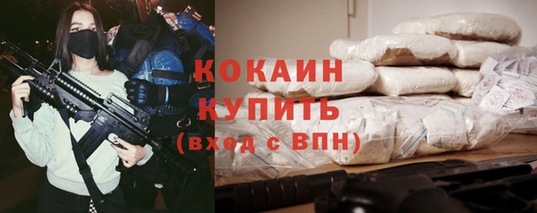 сатива Белокуриха