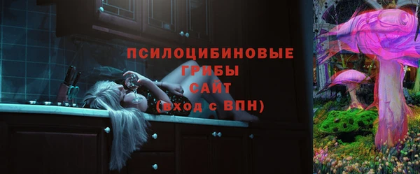ПСИЛОЦИБИНОВЫЕ ГРИБЫ Беломорск