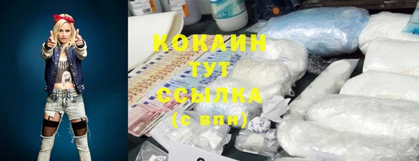 сатива Белокуриха