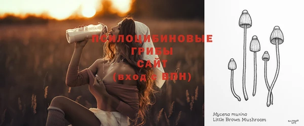 ПСИЛОЦИБИНОВЫЕ ГРИБЫ Беломорск