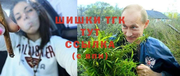 сатива Белокуриха