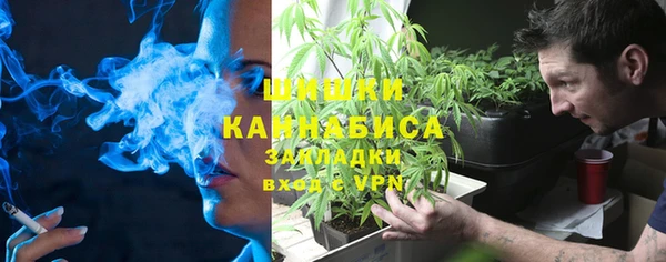 ПСИЛОЦИБИНОВЫЕ ГРИБЫ Беломорск