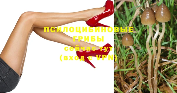 сатива Белокуриха