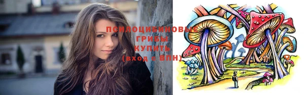 сатива Белокуриха